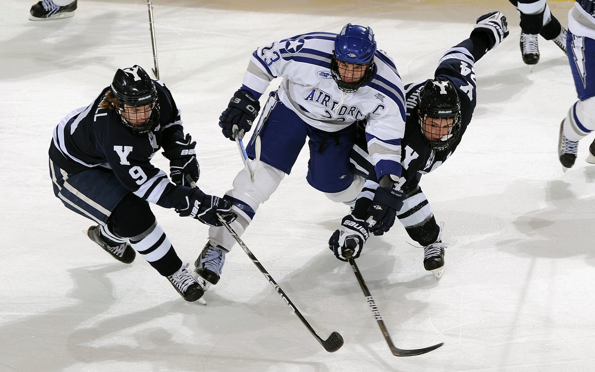 “2025世界游泳锦标赛：顶尖游泳选手争夺金牌荣耀”